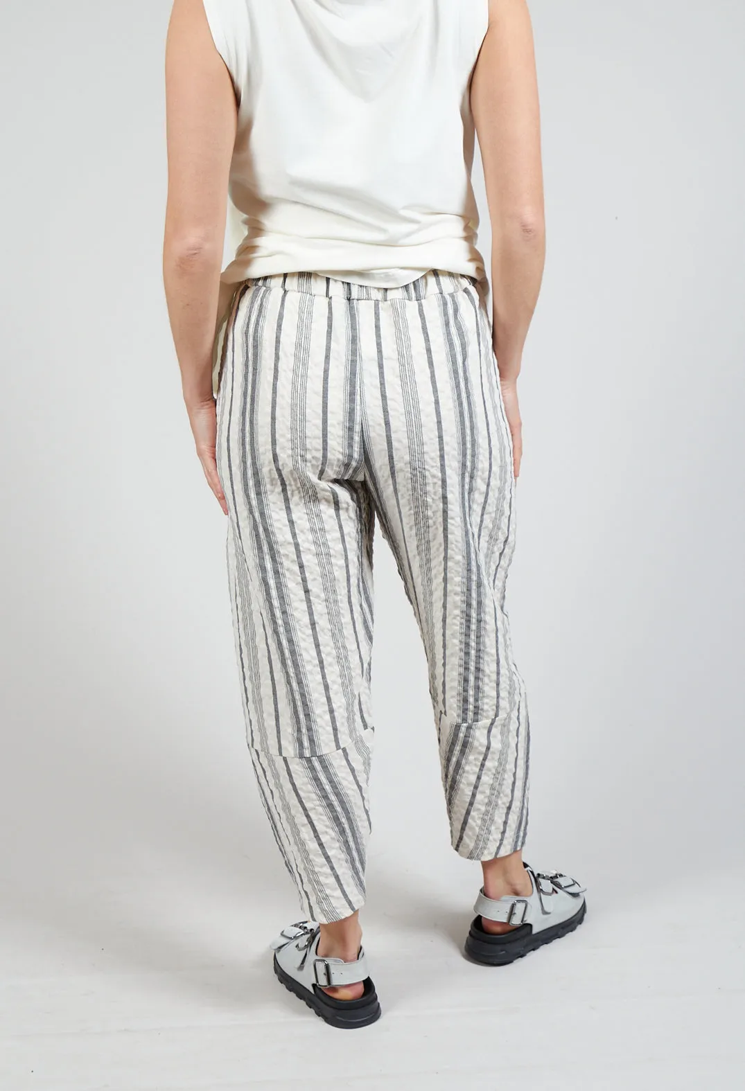 Alicia S Trousers In Nero Stripe