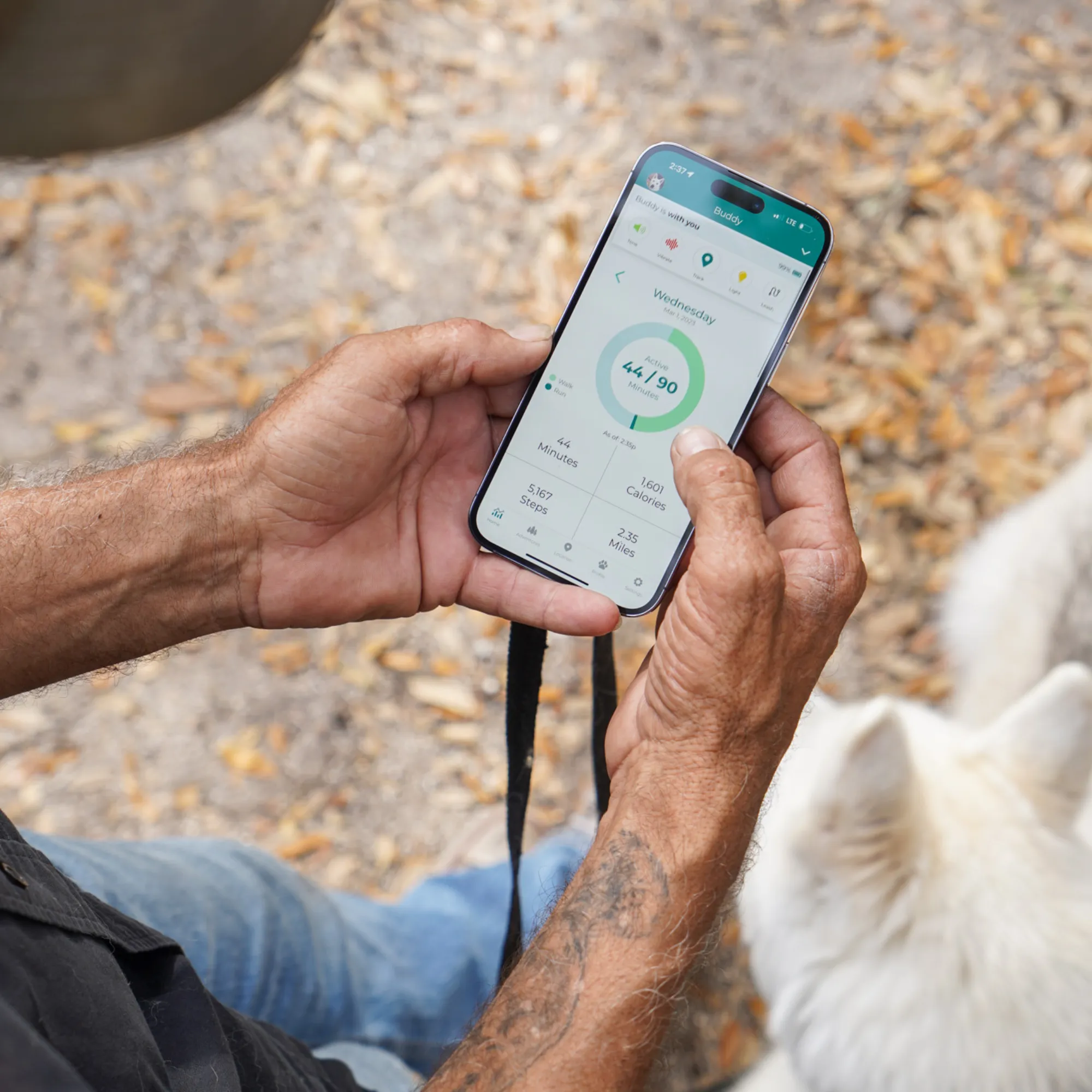 The Link Smart Pet Wearable