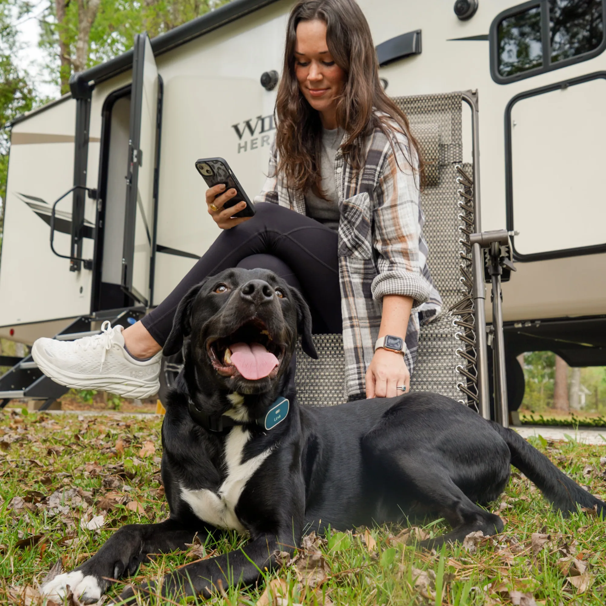 The Link Smart Pet Wearable